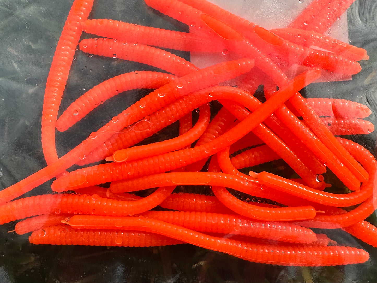 Pine Outdoors - 2.3" Floating Trout Worm